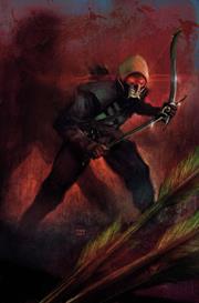 ABSOLUTE GREEN ARROW #4 (OF 6) CVR B MARTIN SIMMONDS CARD STOCK VAR ABSOLUTE GREEN ARROW #4 (OF 6) CVR B MARTIN SIMMONDS CARD STOCK VAR