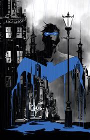 NIGHTWING #141 CVR C DUSTIN NGUYEN CARD STOCK VAR NIGHTWING #141 CVR C DUSTIN NGUYEN CARD STOCK VAR