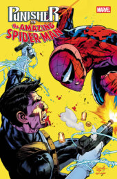 PUNISHER VS. SPIDER-MAN #2 PUNISHER VS. SPIDER-MAN #2